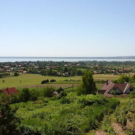 Maison d'hôtes Kincses Vendeghaz *