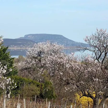 Maison d'hôtes Kincses Vendeghaz